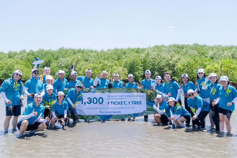 Cambodia tree planting